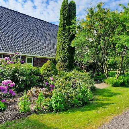 Ferienwohnung Vledderstee Vledderveen  Exterior foto